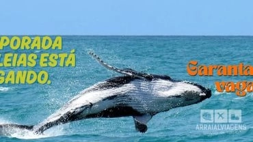 Avistamento de Baleias em Arraial do Cabo